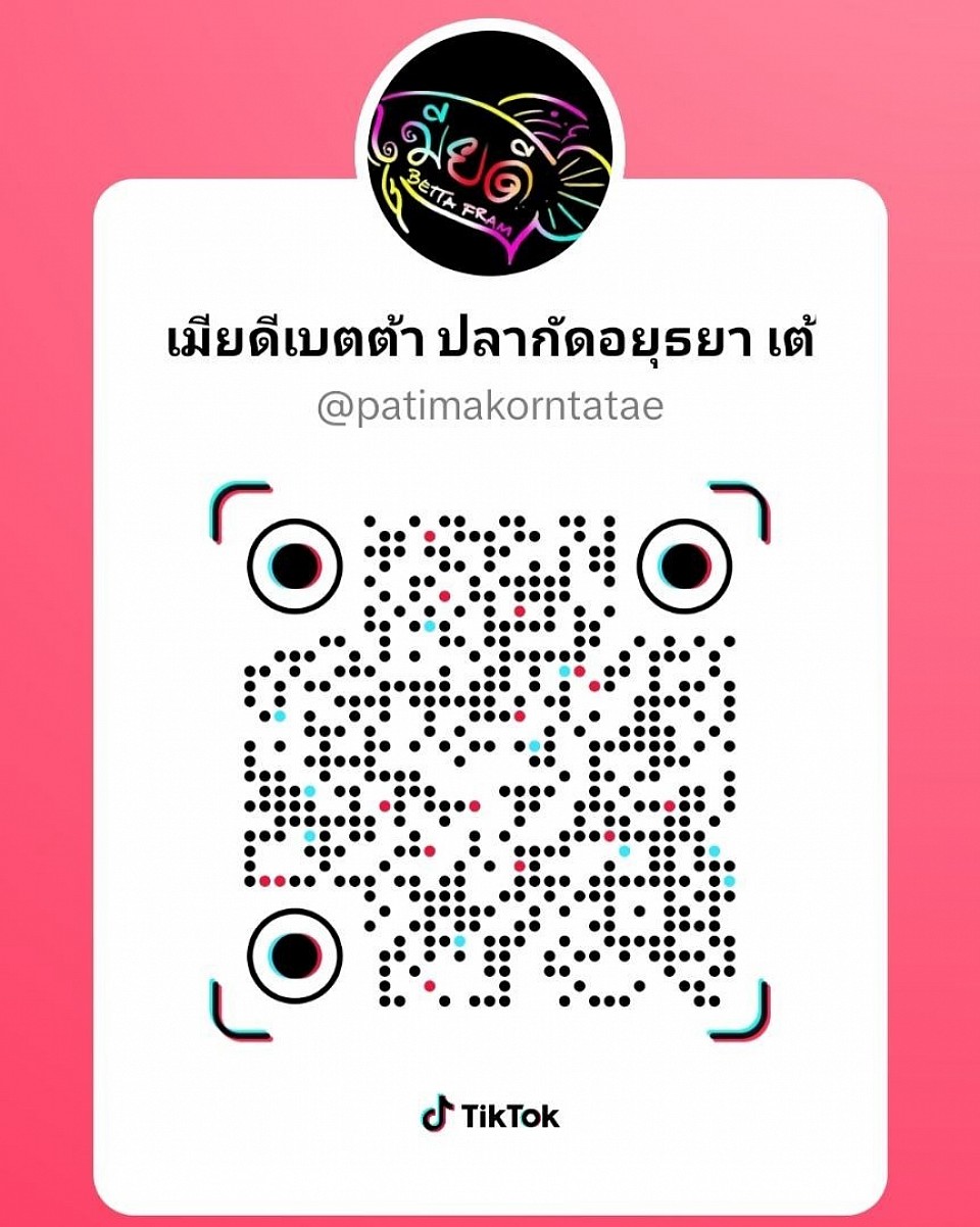 ช่อง Ticktok